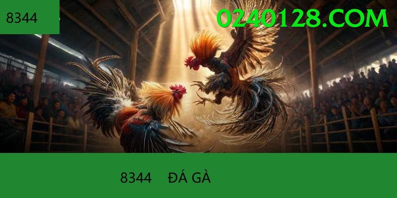 Đá Gà Trực Tiếp - Trải nghiệm tuyệt vời